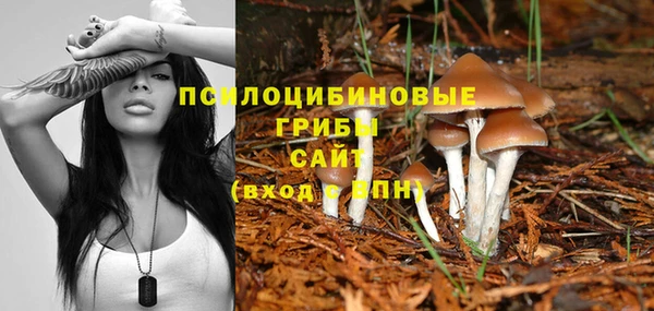 бошки Баксан