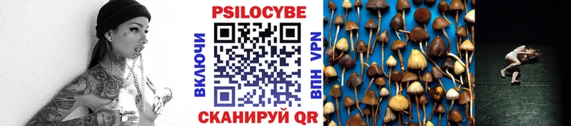 Галлюциногенные грибы Magic Shrooms  Купить  Плёс 
