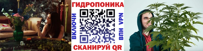 Купить  Плёс  Шишки марихуана THC 21% 